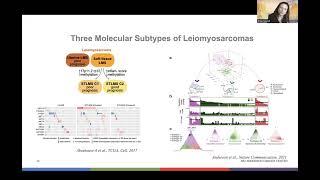 Targeting the Molecular and Immunological Features of LMS - Video Thumbnail